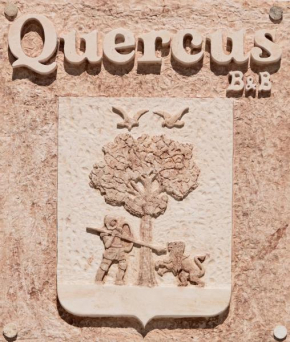 Quercus Alberobello